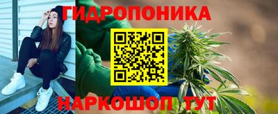 spice Вязники